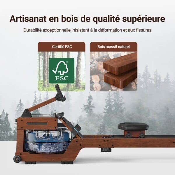 Rameur – Image 2